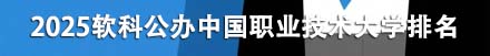 公办中国职业技术大学排名