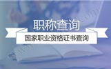 中级职称证书查询系统,国家职业资格证书查询