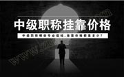 中级职称哪些专业值钱,中级职称证书价格