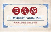正高级职称评审公示名单,正高级职称公示,正高级职称公示通过名单