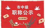 石家庄职称公示结果,市中级职称公示,市中级工程师公示名单