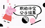 职称公示,职称公示在哪里查询,职称评定公示结果