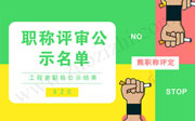 职称评审公示名单,工程类职称公示结果,工程类职称公示