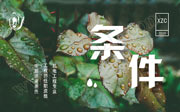机电工程专业工程师任职资格申报评审条件,中级职称申报,中级职称评审