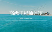 石油化工工程专业高级工程师任职资格申报评审,高级工程师评审,高级工程师申报