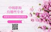 中级职称有哪些专业,中级工程师评定时间,中级工程师申请条件