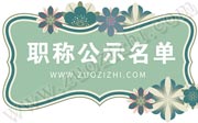 电子工程中级职称评审公示,中级职称评审公示名单,轻工工程中级职称评审公示