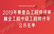 秦皇岛工程师评审,林业工程中级工程师公示名单,林业工程中级工程师评审公示