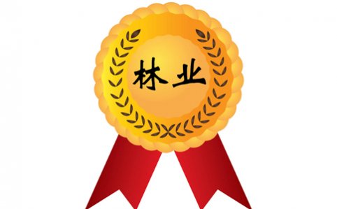 高级工程师成果奖励