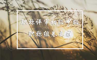职称组卷要求