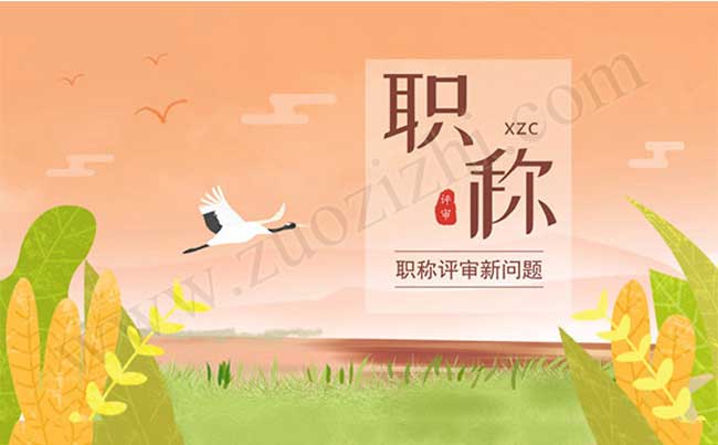 职称异地评审面临的问题
