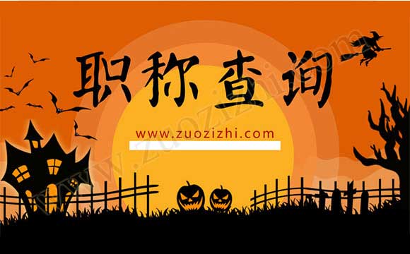 中级职称网上查询