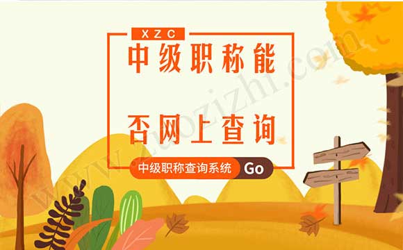 中级职称网上查询系统
