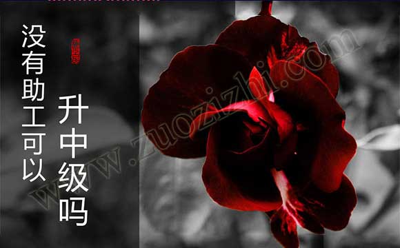 助理工程师有什么用
