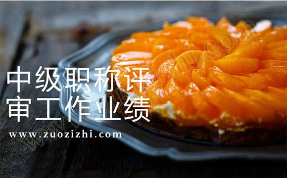 中级职称评审工作业绩