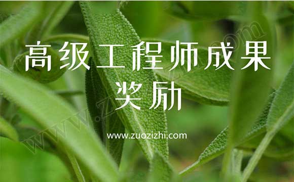 高级工程师成果奖励