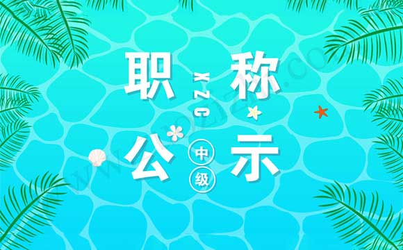 中级工程师通过公示名单