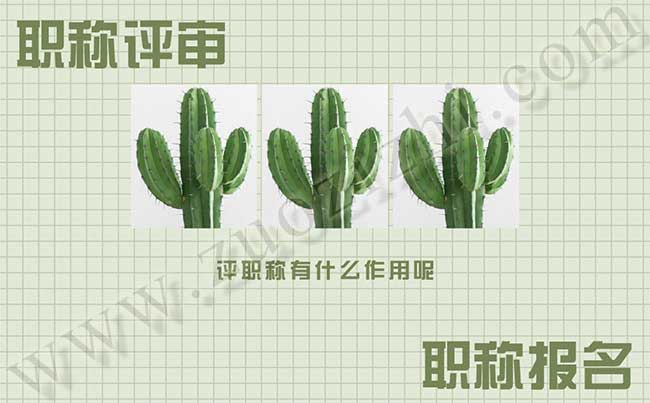 换地区以后职称还可以用吗