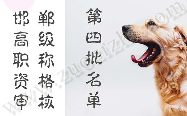 高级职称资格审核