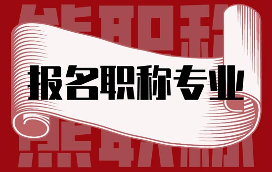 报名职称专业