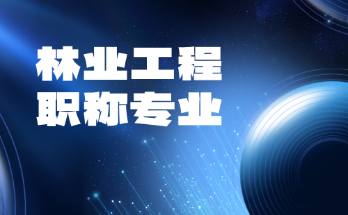 工程师职称