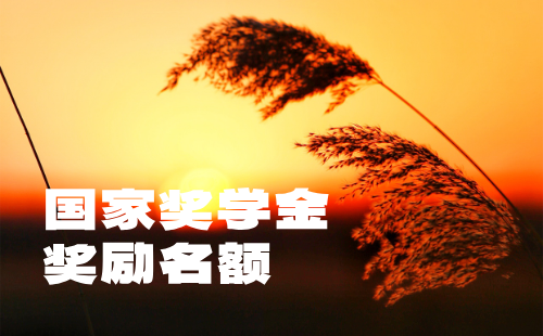 国家奖学金奖励名额