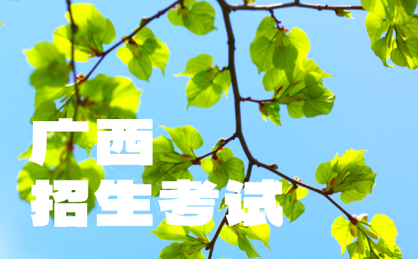 山东2025高考报名流程及要求