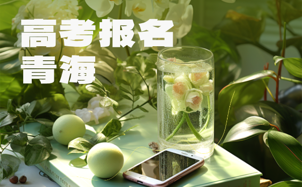 青海2025普高招生报名工作通知