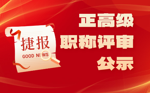 正高级职称评审公示
