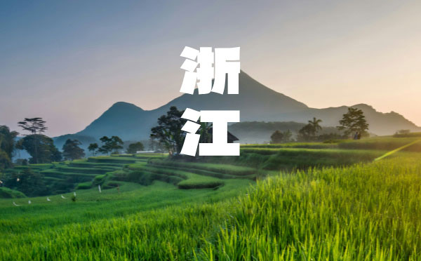 2024福建高考录取结果