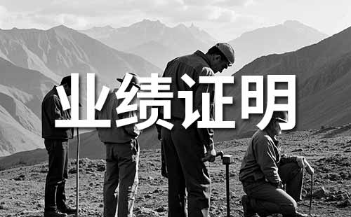 职称业绩证明材料