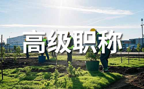 高级工程师职称