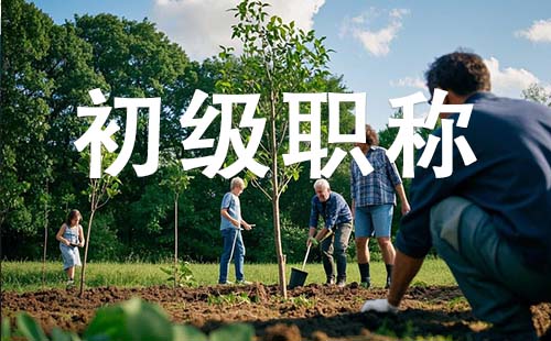 助理职称报名时间
