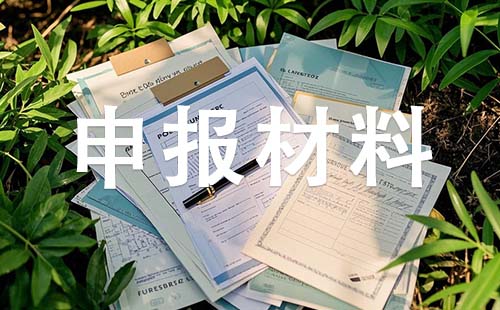 中级职称申报材料
