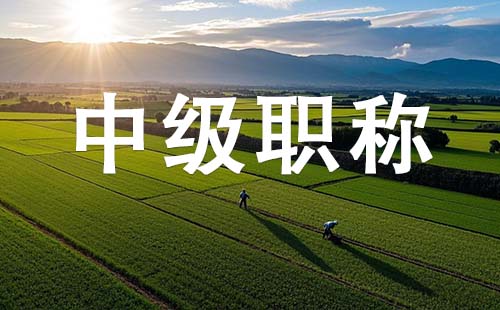农业机械化-农机监理中级职称报考条件（时间安排也要注意）