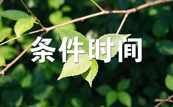 评初级职称条件