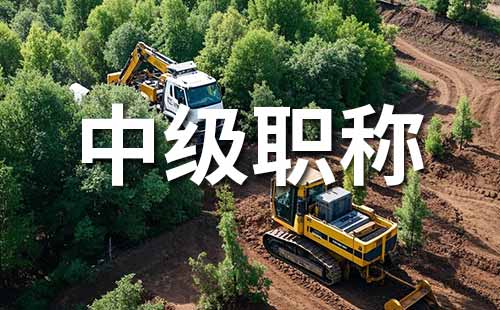 职称评审材料