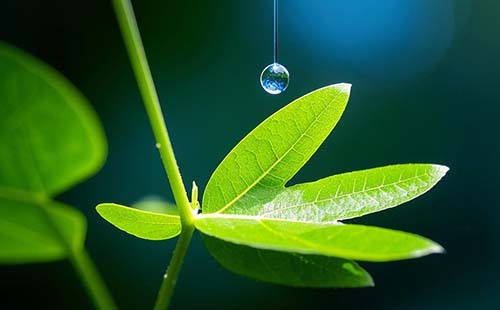 自然科学研究人员职称评价基本标准条件